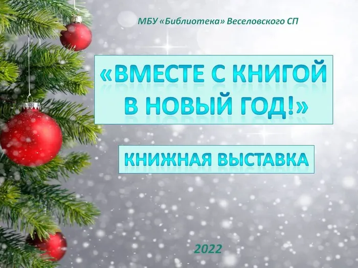 "Вместе с книгой в Новый год" - обзор книжной выставки