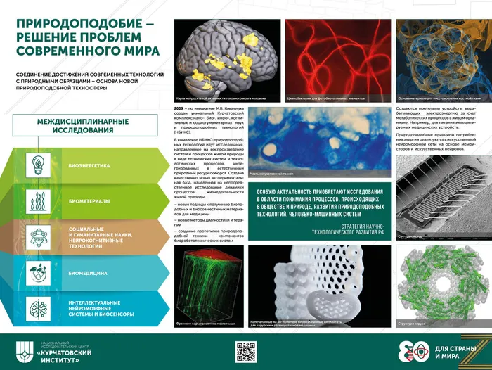 "Триумф школы Курчатова — Александрова" - час информации