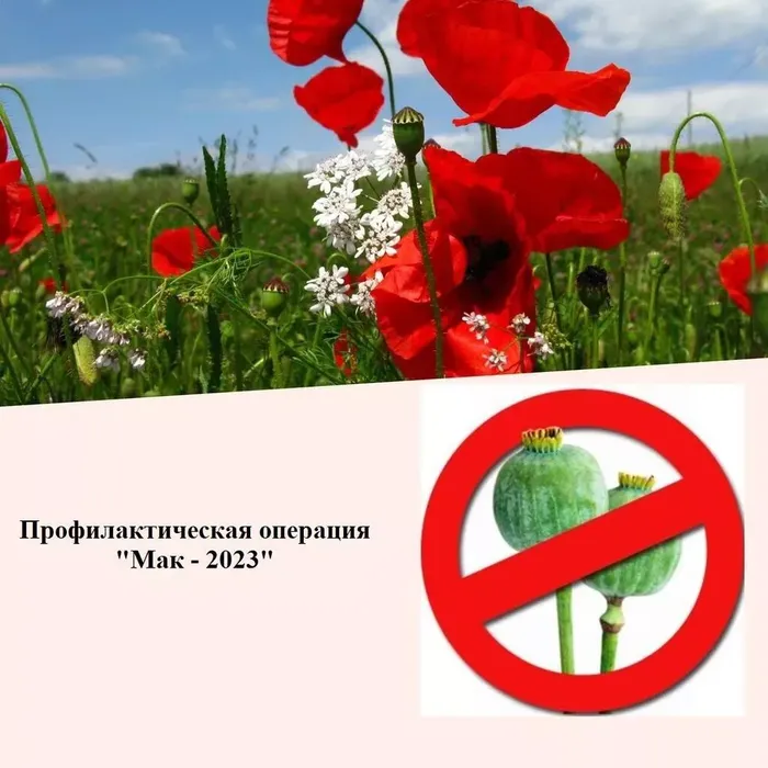 Внимание! Операция "Мак-2023"