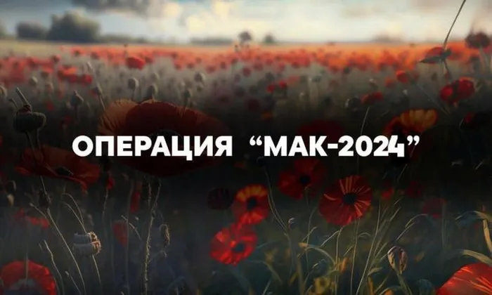 мак 24