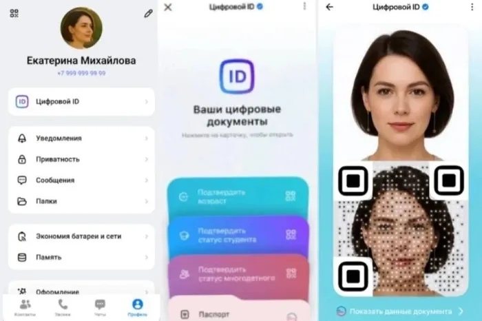 Инструкция по использованию Госкана
