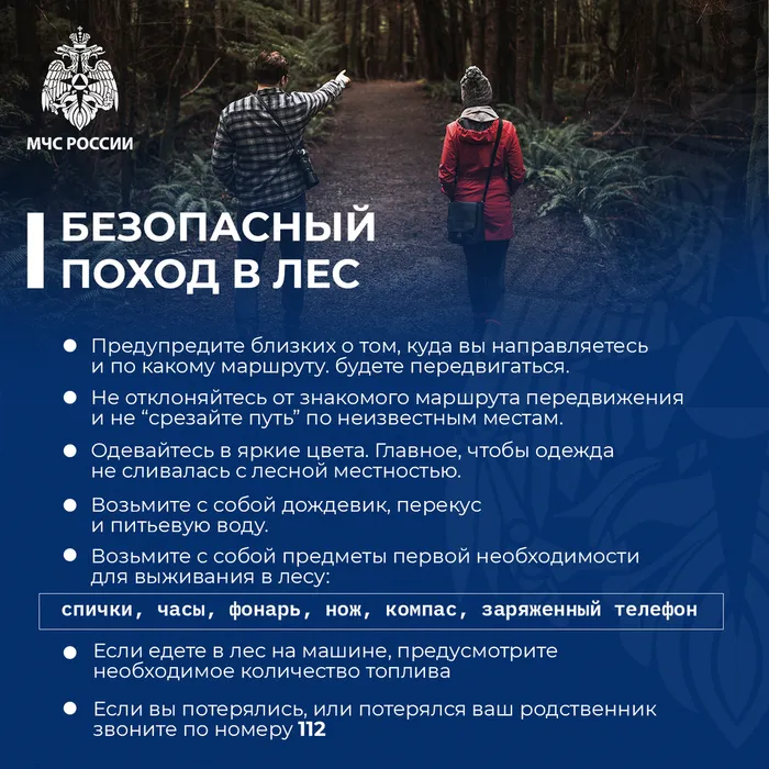 Поход в лес
