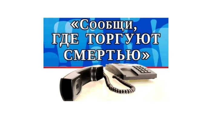 8120551f96da0cb23c357533e97bf73e