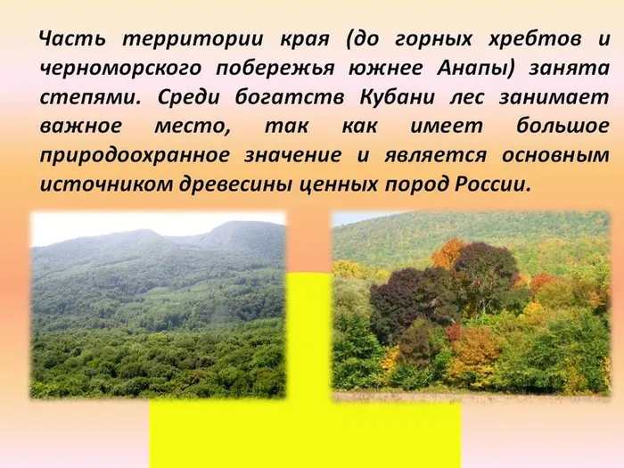 «Родной земли многоголосье»-краеведческие посиделки